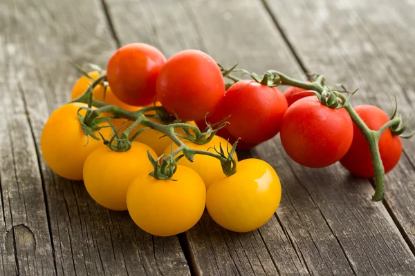 Gele en rode tomaten — Stockfoto