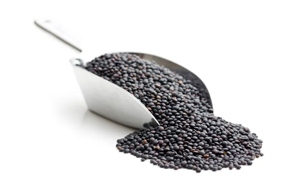 Beluga. Black lentil in scoop. — Stock Photo, Image