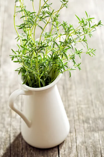 Frisches Bohnenkraut — Stockfoto