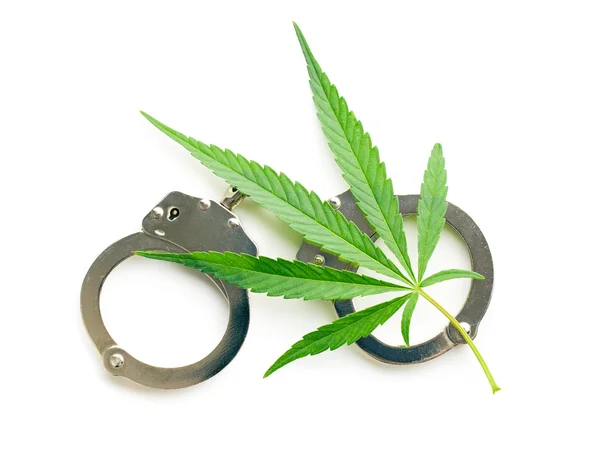 Cannabis leaf and handcuffs — Stock Photo, Image