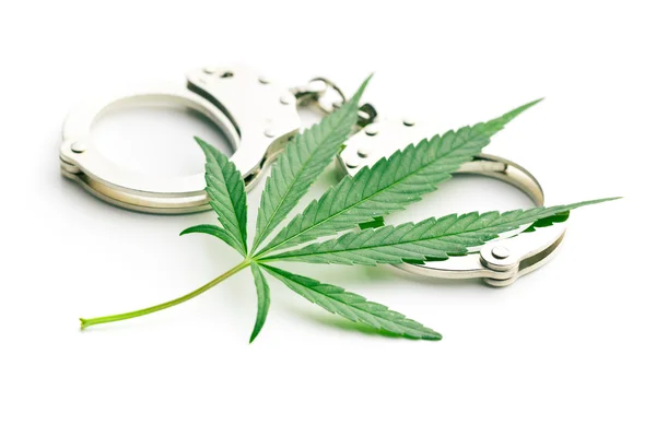 Cannabis-Blatt und Handschellen — Stockfoto