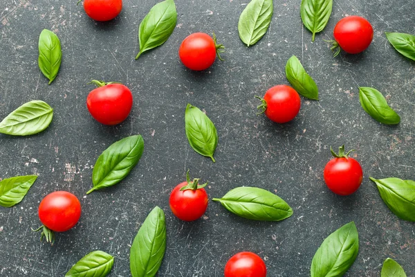 Tomates e folhas de manjericão — Fotografia de Stock