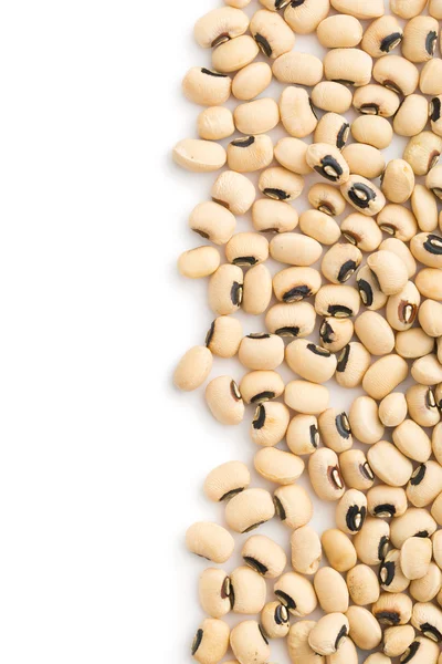 Nevařené fazole — Stock fotografie