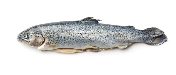 The gutted trout — Stock Photo, Image