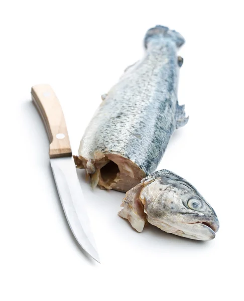 The gutted trout with knife — Stock Photo, Image