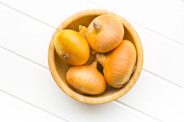 Fresh onions in bowl — Stock Photo, Image