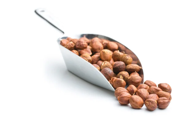 Hazelnuts in metal scoop — Stock Photo, Image