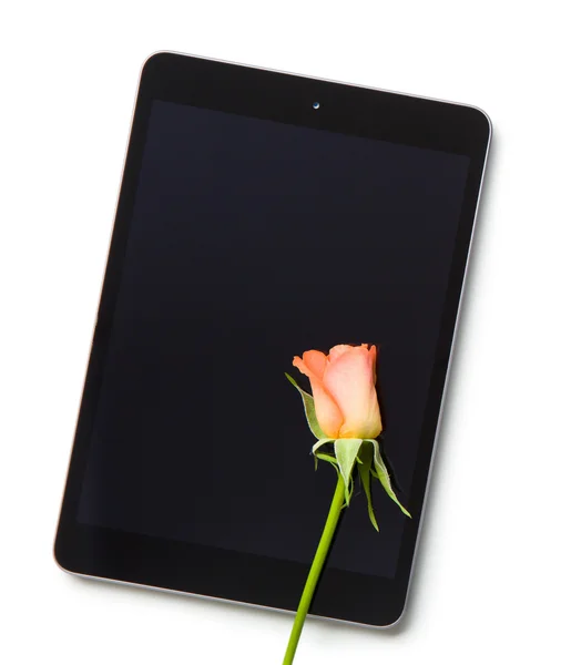 Rosa flor e tablet computador — Fotografia de Stock