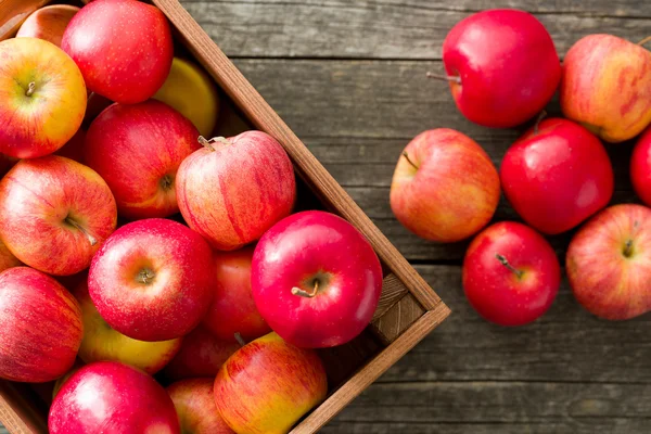 Red autumn apples — Stock Photo, Image