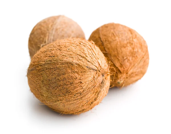 Três cocos inteiros — Fotografia de Stock