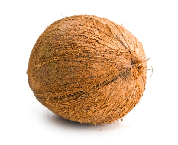 Een hele kokosnoot — Stockfoto