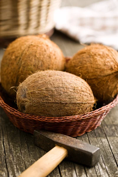 Celá kokosy a kladivo — Stock fotografie