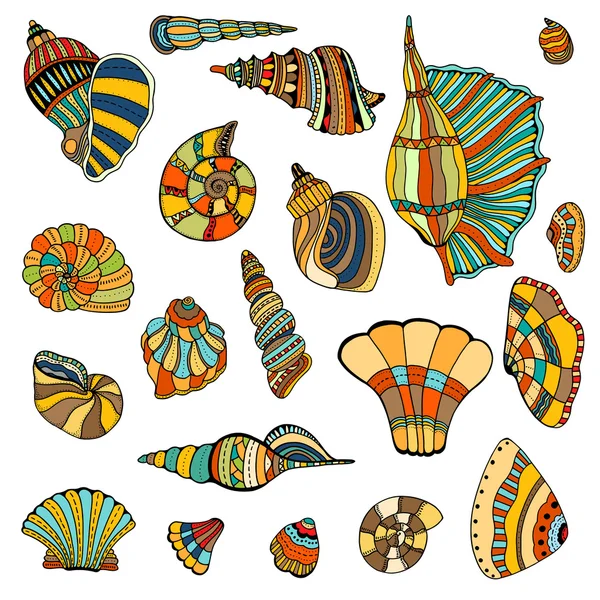 Коллекция Seashell — стоковый вектор