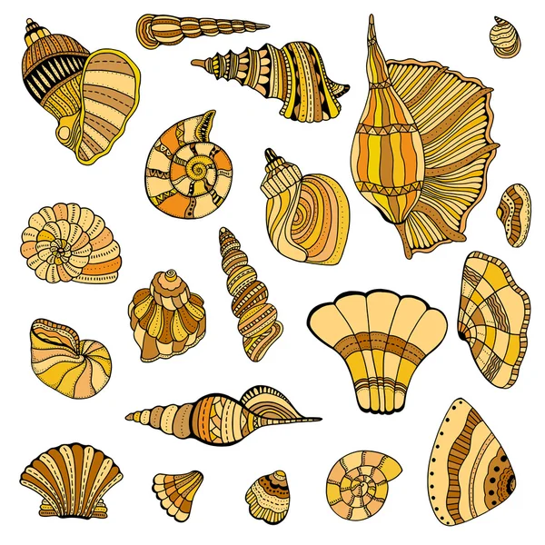 貝殻セットのコレクション — ストックベクタ