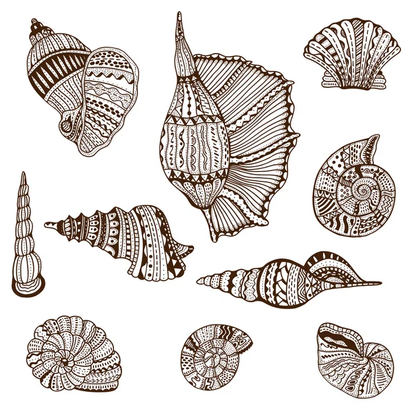 Seashell set collection — Stock Vector