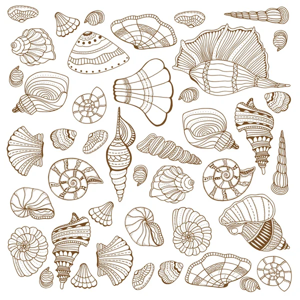 Seashell set collection — Stock Vector