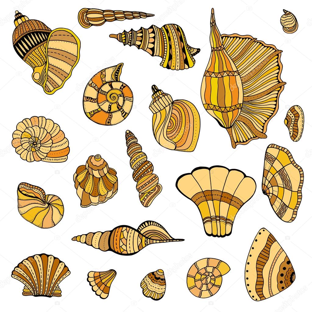 Seashell set collection. Vector illustration. Zentangle. Hand drawn artwork. Beach concept for restaurant menu card, ticket, branding, logo label.