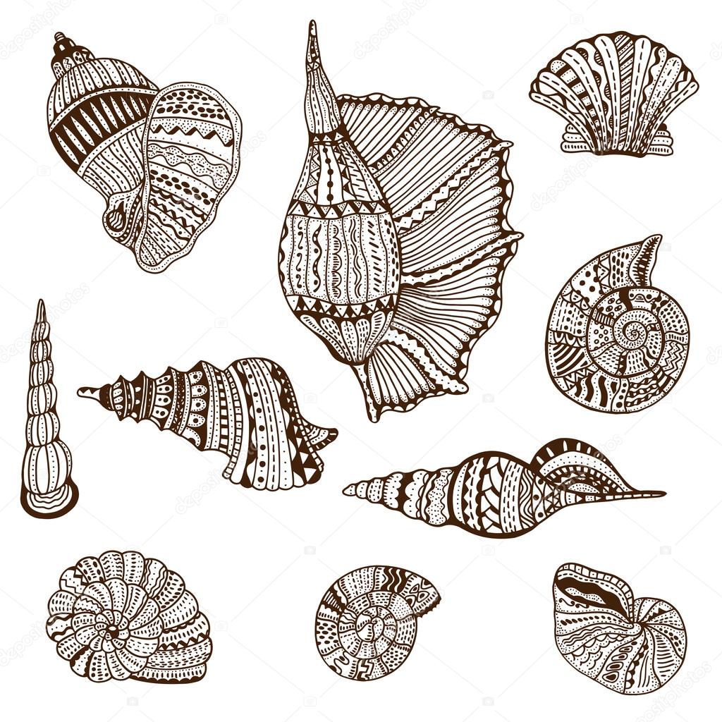 Seashell set collection. Vector illustration. Zentangle. Hand drawn artwork. Beach concept for restaurant menu card, ticket, branding, logo label.