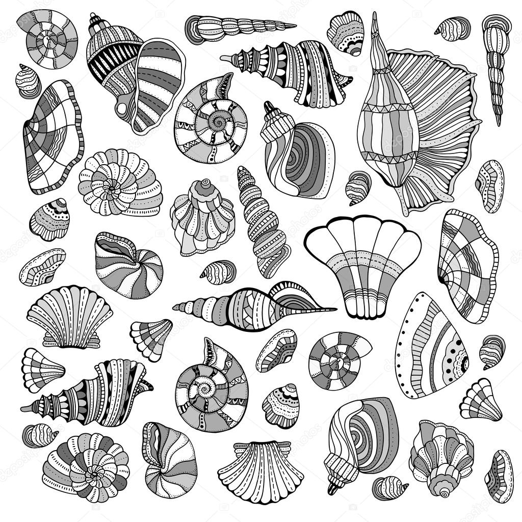 Seashell set collection. Vector illustration. Zentangle. Hand drawn artwork. Beach concept for restaurant menu card, ticket, branding, logo label.