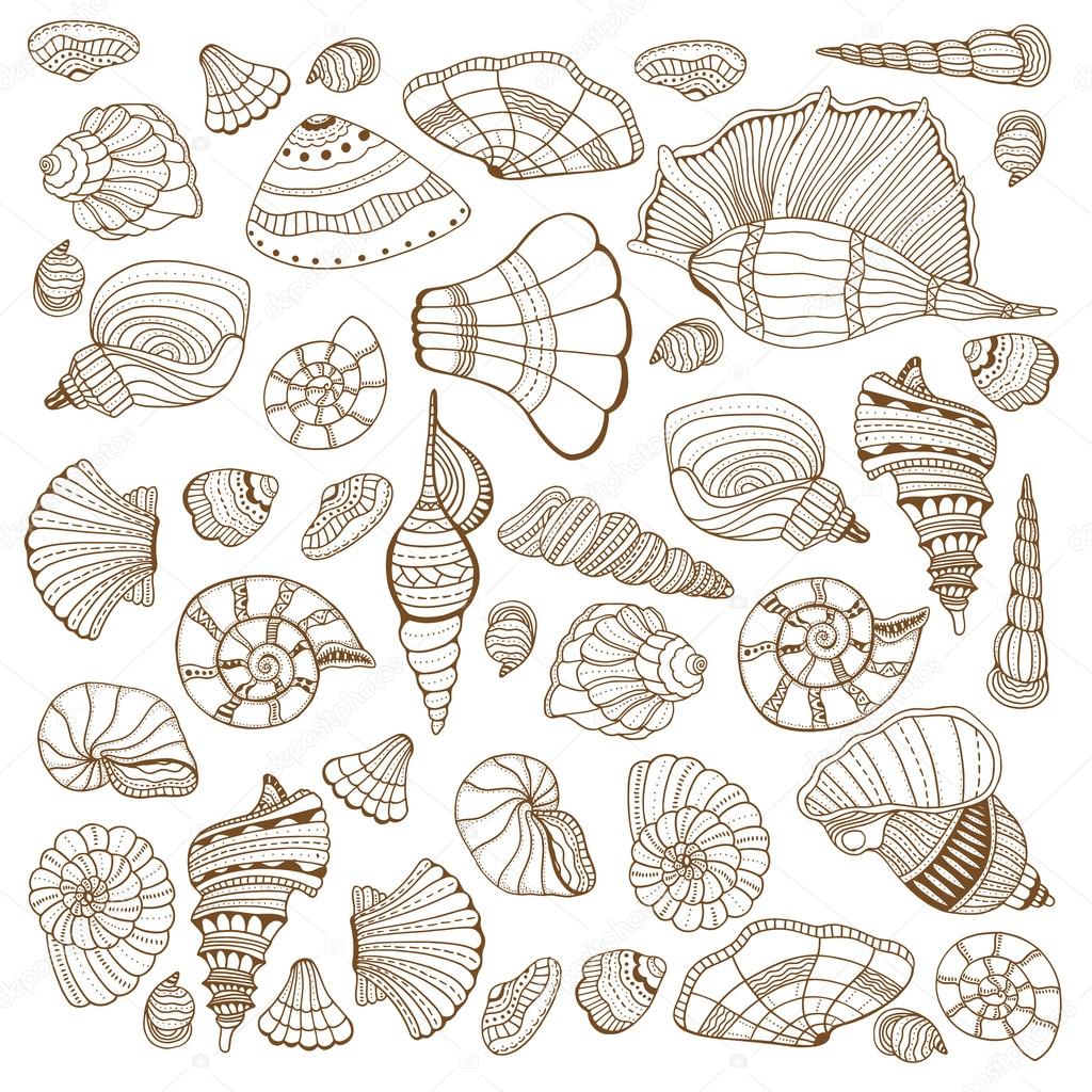 Seashell set collection. Vector illustration. Zentangle. Hand drawn artwork. Beach concept for restaurant menu card, ticket, branding, logo label.