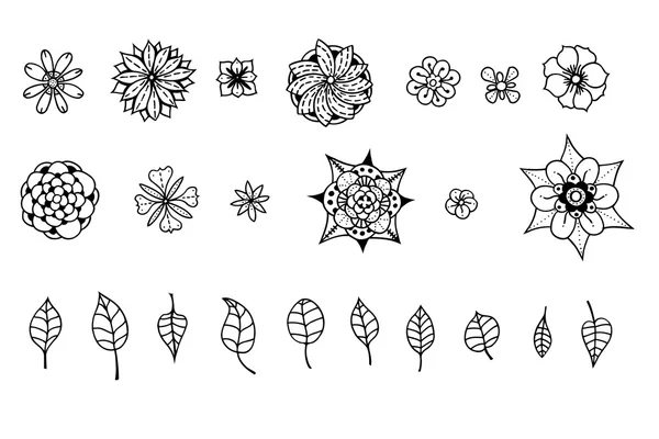 Conjunto floral doodle —  Vetores de Stock