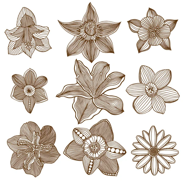 Fleurs abstraites monochromes doodle — Image vectorielle