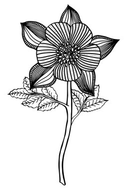 elle çizilmiş çiçek