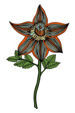 elle çizilmiş çiçek