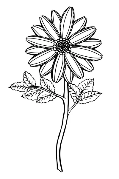 手描きの花 — ストックベクタ