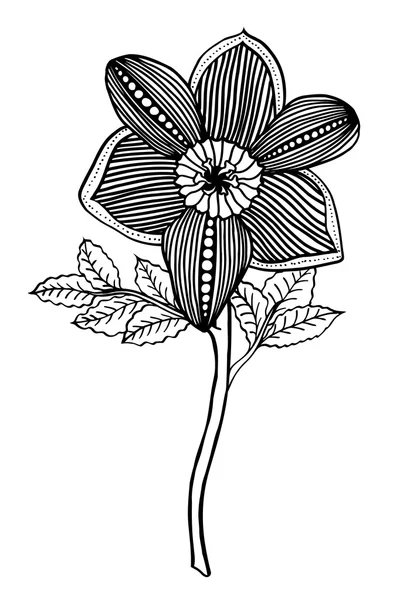 Flor desenhada à mão — Vetor de Stock