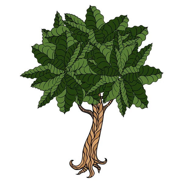 Дерево с листьями — стоковый вектор