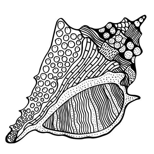 Zentangle stylized shell. Stock Illustration
