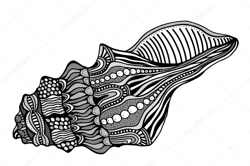 Shell Outline Trendy Vector & Photo (Free Trial) | Bigstock