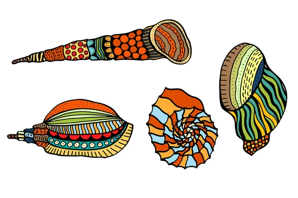 Seashell. Ilustración vectorial . — Archivo Imágenes Vectoriales