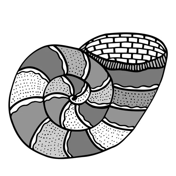 Zentangle cáscara estilizada . — Archivo Imágenes Vectoriales