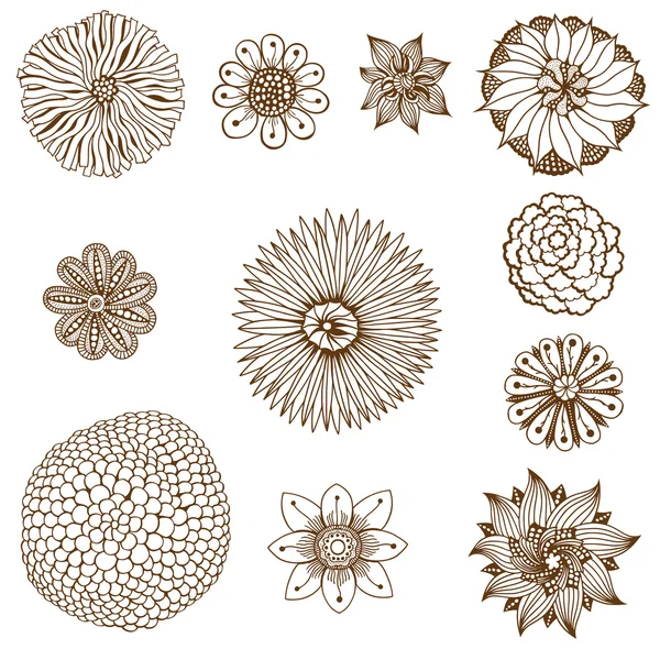 Set bloemen — Stockvector