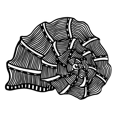 Karadeniz cockleshell.