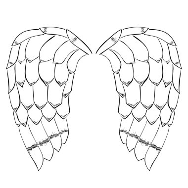 kuş veya melek kanatları