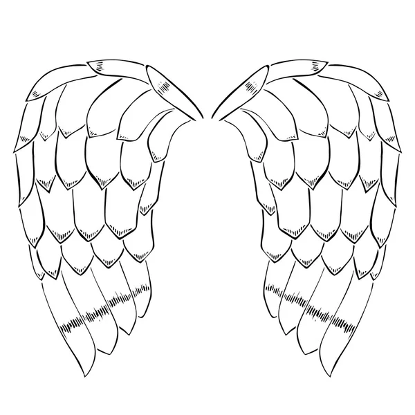 鸟或天使翅膀 — 图库矢量图片