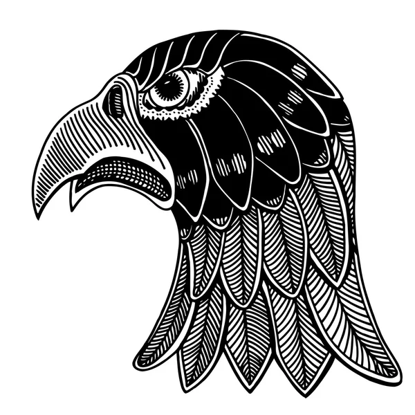 Cabeça de águia desenhada à mão . — Vetor de Stock