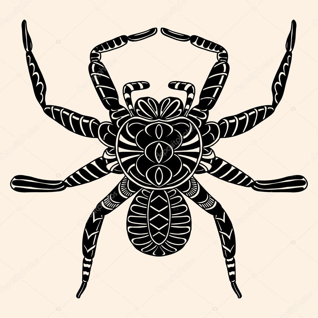 Spider with abstract pattern. Vector illustration. Hand drawn Doodle artwork. Summer concept for party card, ticket, branding, logo, label. Black, beige color