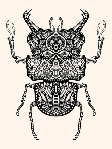 Besouro desenhado à mão —  Vetores de Stock
