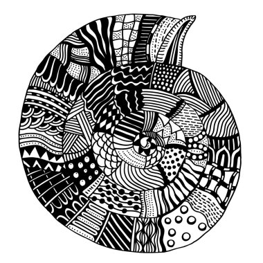 vektör desenli deniz kabuğu