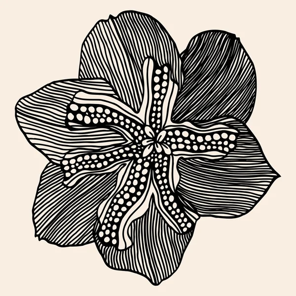 Monocromático flores do doodle abstratas — Vetor de Stock