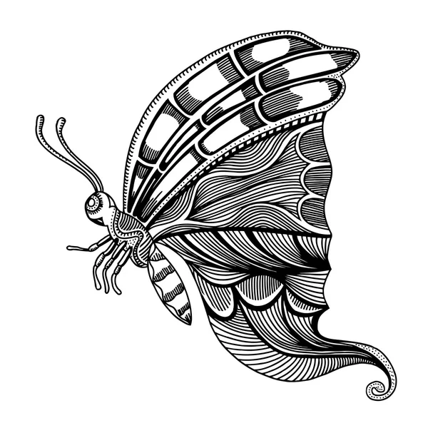 Butterfly sketch vector — Stock Vector