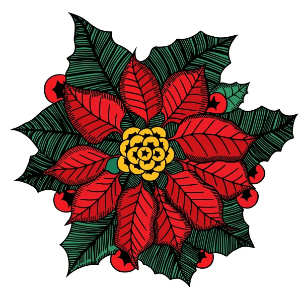 Vánoční květiny poinsettia — Stockový vektor