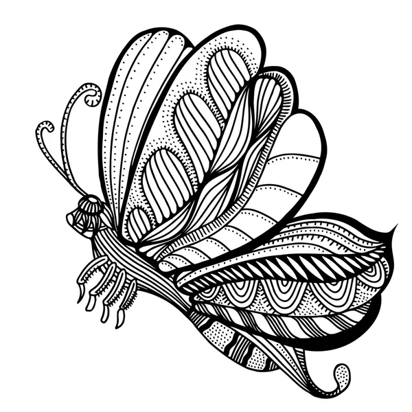 Vector de boceto de mariposa — Archivo Imágenes Vectoriales