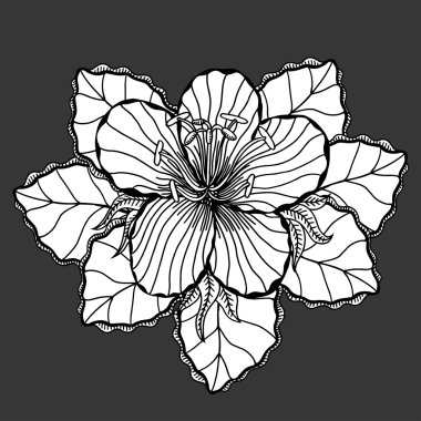 Beyaz arkaplanda çiçek