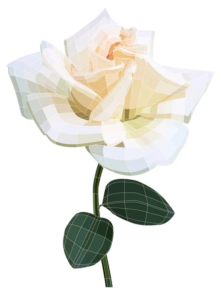 Fleur rose blanche. Illustration vectorielle avec maillage visible — Image vectorielle