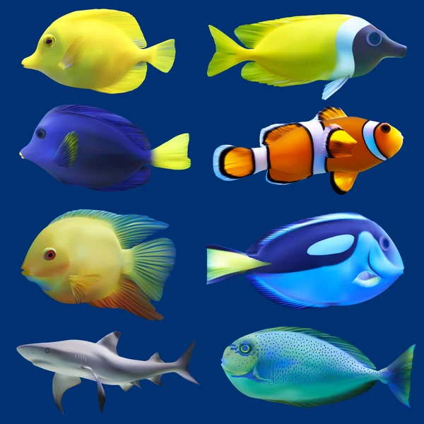 Conjunto de peixes tropicais. Ilustração vetorial — Vetor de Stock